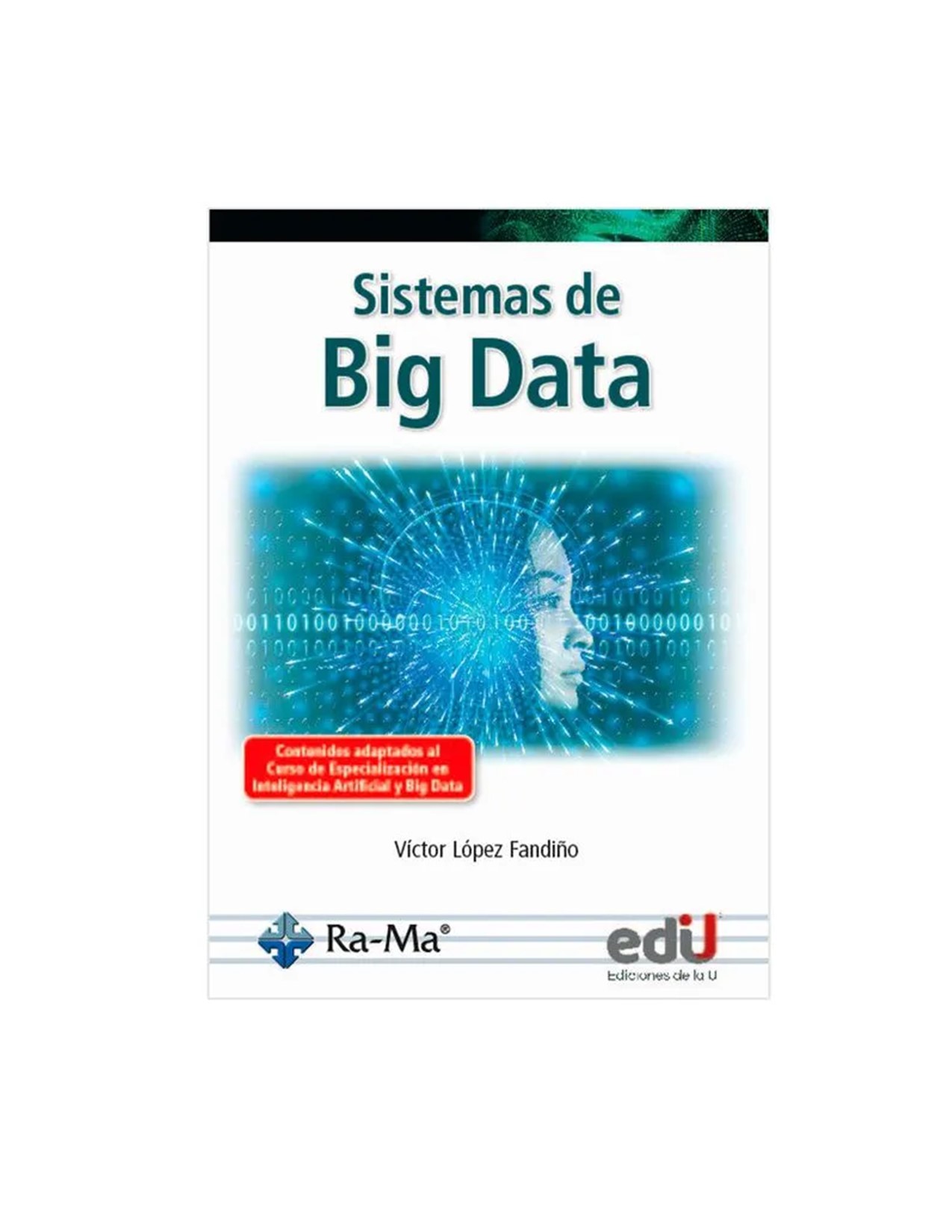 Sistemas De Big Data